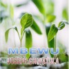 Mbewu 